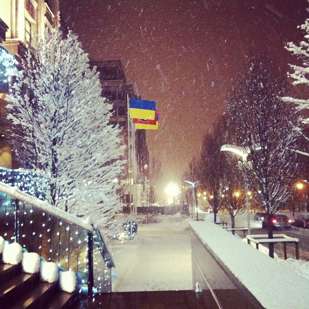 Первый заснеженный день  в Донецке. #winter #snow #hcdonbass #cool #photo #pictures #beautiful #nice #newyear #donetsk #ukrai...