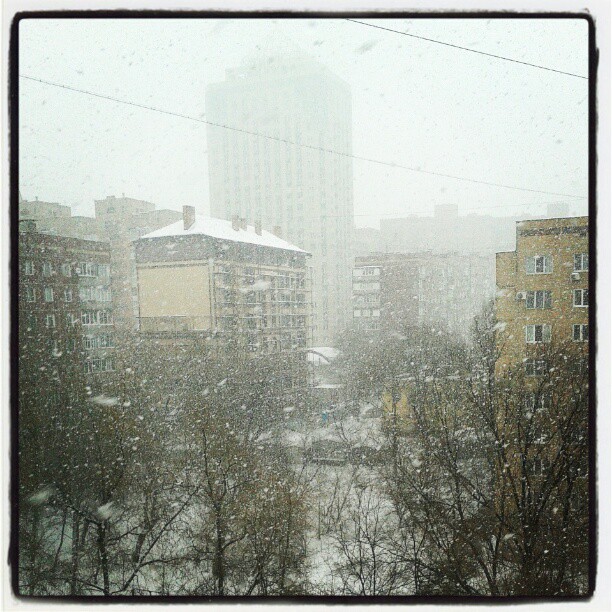 Снежок, вернись в Донецк! #govoritdonetsk