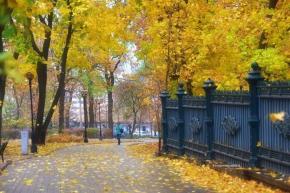 "Яркое, осеннее #утро, предпоследнего дня октября. Спасибо, осень, за чудесные дни и красоту :)", - пишет #автор #фото Евгени...
